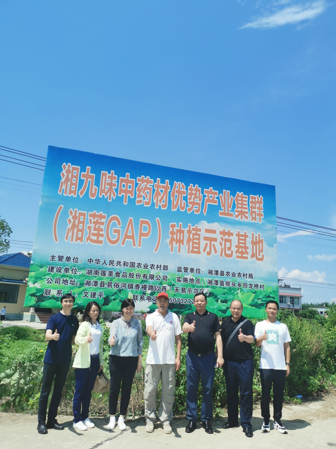 Certified GAP lotus growing base in Xiangtan, Hunan