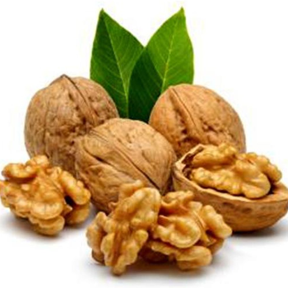 Walnut Kernels